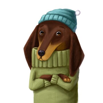 Cute Dachshund Portrait Watercolor Illustration, Funny Clipart With Cartoon Character