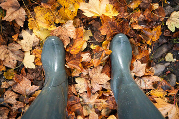 Graue Gummistiefel im Herbstlaub