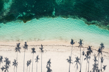 Tropical seashore with coconut palm trees and turquoise caribbean sea. Aerial view