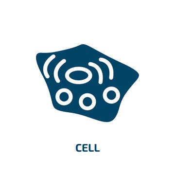 cell vector icon. cell, internet, business filled icons from flat concept. Isolated black glyph icon, vector illustration symbol element for web design and mobile apps