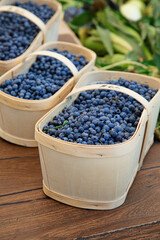 Basket full of blueberries being sold at a local farmer's market in Ottawa, Canada. 