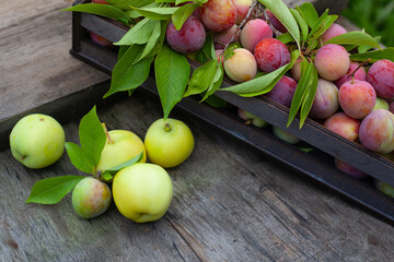 apples and plums in a container on the table