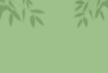 Obraz premium Natural leaf shadows are blurred on the light green pastel color background.