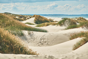Dunes at the beach of the Jammerbugt in northern Denmark. High quality photo