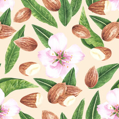 Watercolor pattern with almond nuts for decorating fabrics, packaging, postcards, kitchen utensils The botanical pattern