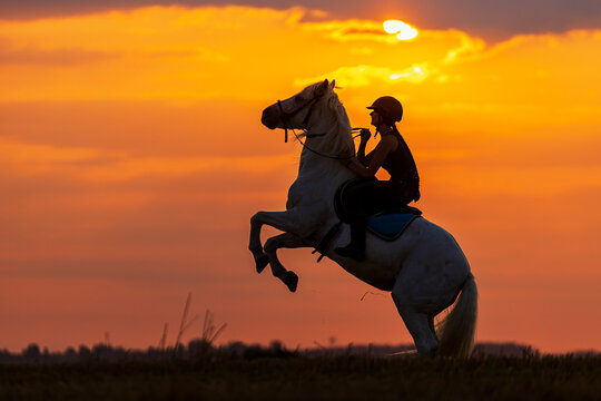 silhouette of a woman on a horse that soars with the western sky © michal