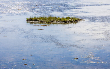 Marée basse dans le Golfe