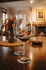 vino argentino