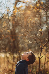 A boy, a child, with his head up, looks at the sun and the yellowed autumn leaves on the trees. A sunny day in the autumn forest.