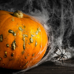 Halloween pumpkin with spider and web