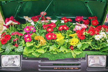 car with flowers, concept of development of an environmentally friendly mode of transport, car without environmental pollution, eco-friendly