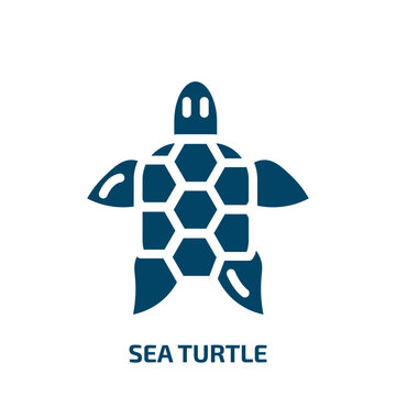 sea turtle vector icon. sea turtle, sea, turtle filled icons from flat summer concept. Isolated black glyph icon, vector illustration symbol element for web design and mobile apps