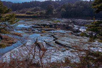 river in the forest