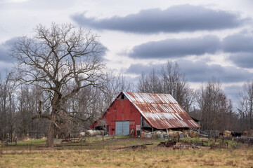 Obraz premium A red barn in the winter surrounding by animals, farm equipment, forest, and a large tree. There are dramatic clouds in the sky