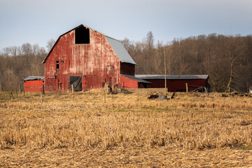 A red barn in winter after harvest. There is a forest in the background. 