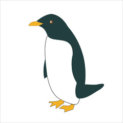 Penguine Vector Illustration for free