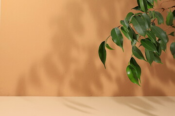 Empty showcase for display or presentation of cosmetic products, scene for design, abstract...