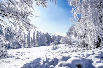 Magurka in winter
