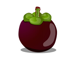 mangosteen fruit icon vector illustration design template