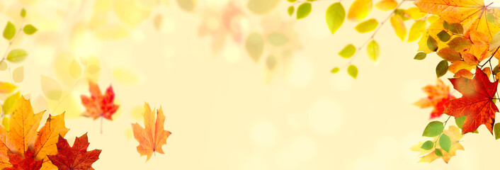 Obraz premium Autumn Banner Background with Colored Fall Leaves against a beautiful bokeh background. Good for Thanksgiving Day or Halloween With Copy Space