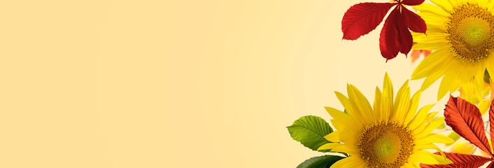 Autumn Banner Background with Colored Fall Leaves against a beautiful bokeh background. Good for Thanksgiving Day or Halloween With Copy Space