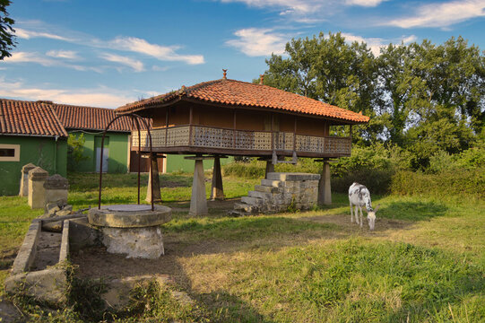 Horreo wuth donkey