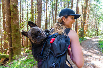 Adventurous athletic female hiker, hiking on a trail with her French Bulldog in a backpack in the Pacific Northwest.
