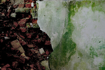 ruined room in abandoned building, pile of bricks lying around, green mold on broken plaster,...