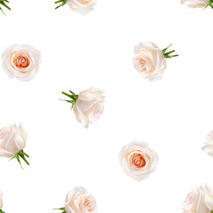 Roses isolated on white background, SEAMLESS, PATTERN