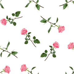 Roses isolated on white background, SEAMLESS, PATTERN