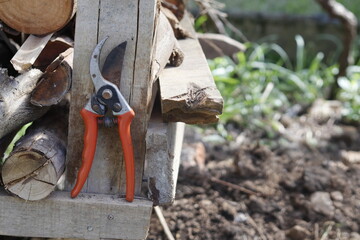 tree pruning