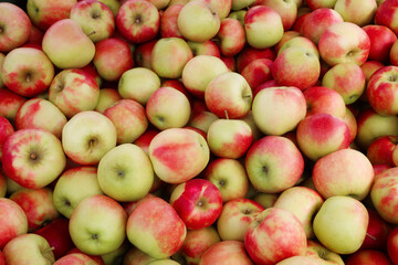Fresh green red apples in the crate in the shop