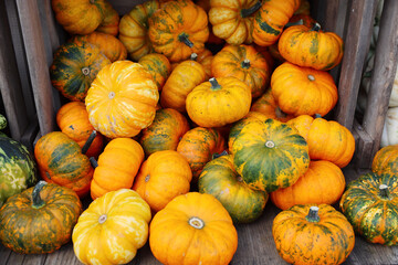 Yellow and green small pumpkins in wooden crate, fresh pumpkin closeup