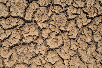 Closeup cracked earth with dry soil