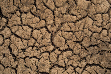 Closeup cracked earth with dry soil