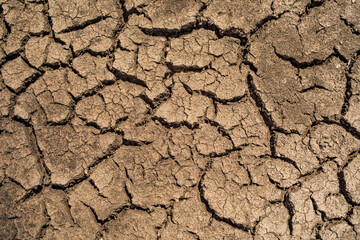Closeup cracked earth with dry soil