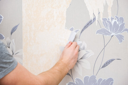 Removing old wallpaper with a spatula and a sprayer with water. A man removes old wallpaper in a room.