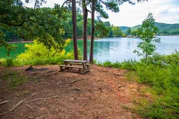 a stone bench on the banks of a Lake Allatoona surrounded  by green water,  brown dirt and lush green trees, grass and plants with blue sky and clouds at Red Top Mountain State Park  - Powered by Adobe