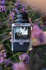 Mittelformat Kamera Hasselblad von oben