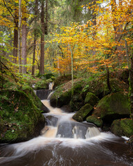 Stream with cascade and autumn colour