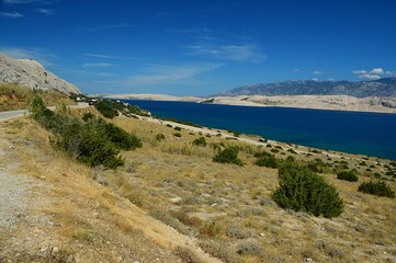 Fototapeta na wymiar Arid shoreline with some durable shrubs and grass near Sveta Maria beach on Pag island, northern Dalmatia, Croatia, Adriatic. Sunny august day with some scattered clouds. Velebit mountain in distance.