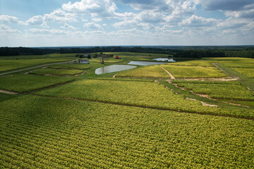 North Carolina Country Side 9