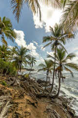 Fototapeta premium beach in the city of Itacare, State of Bahia, Brazil