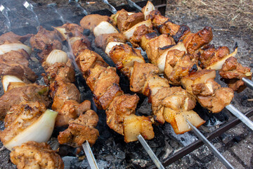 Delicious barbecue on skewers