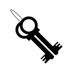 Access door antique key icon | Black Vector illustration |