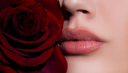 Close-up beautiful lips with red rose. Part of face, young woman close up plump lips with nude lipstick. Natural lip lipstick on lips.