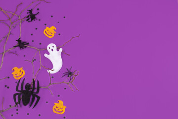 Halloween decorations pumpkins spiders with black confetti on violet background.
