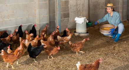 Woman farmer feeding bird in the backyard of a village house © JackF