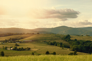 Obraz premium Rural landscape with green fields and forests.Summer season.