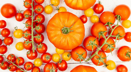 different types of tomatoes  